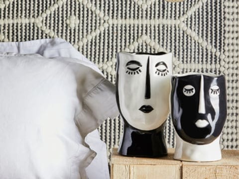 Faccia vases